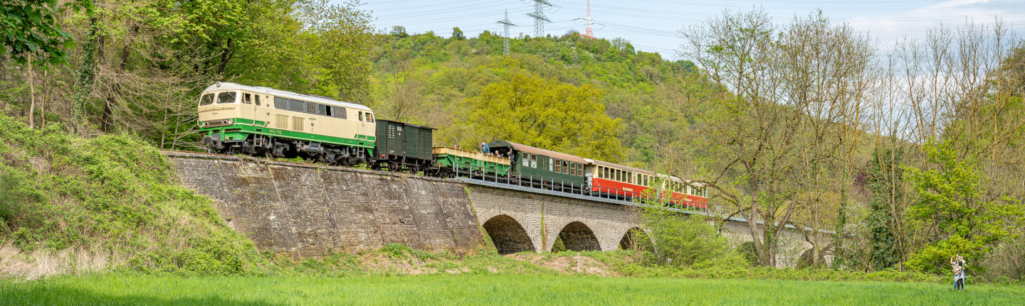 Erleben Sie die einzige 1000 mm Schmalspurbahn in Rheinland-Pfalz.